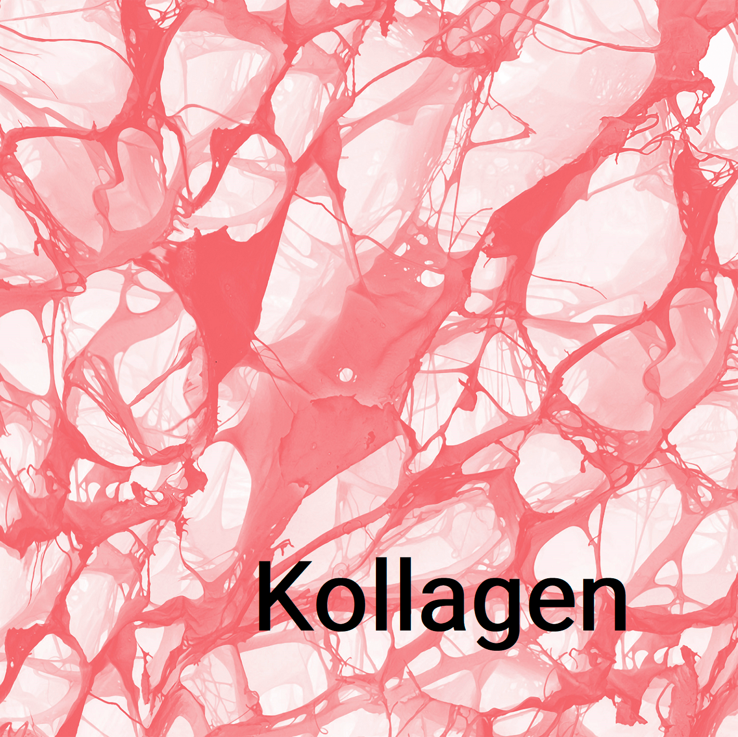 Collagen for the skin: mode of action of the wonder weapon